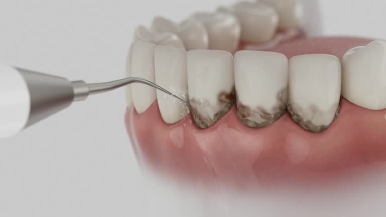 Reliable Dental contractor in Lumber City, GA by Dentist Open Now